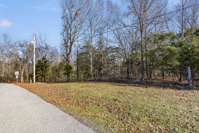 Lot 4 Midview Dr, Kimberling City, MO 65686 - photo 6