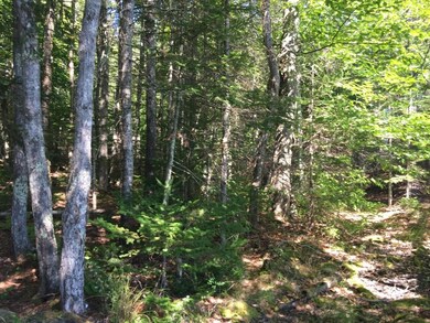 Campground #4