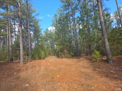 0 Norwood Rd unit 363393, Gladstone, VA 24553 - photo 6