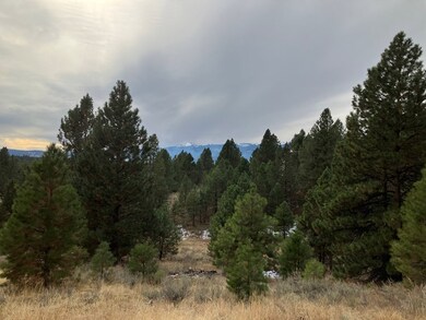 Mountain & Wooded Views