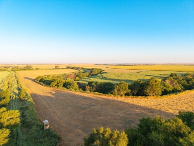 000 NE 234 Rd-81 Acres, Burdett, KS 67523 - photo 7