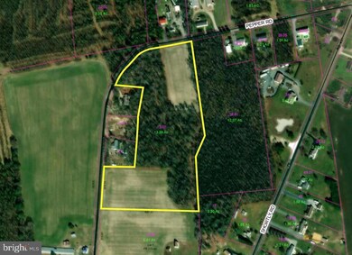 13.585 ac., Tract 1 Pepper Rd, Georgetown, DE 19947 - photo 3