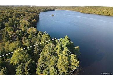 2 Lena Rd, Forestburgh, NY - photo 3