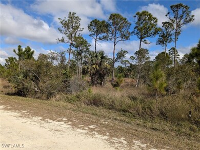 View of local wilderness