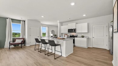 103 Rolling Meadow Trace, Jasper, GA 30143 - photo 7