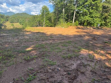 Lot 7 Snow Hill Rd, Franklin, NC 28734 - photo 5