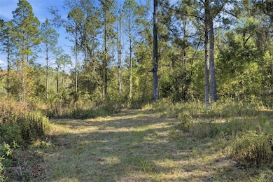 0 SW Paradise Way unit MFRTB8442555, Greenville, FL 32331 - photo 7
