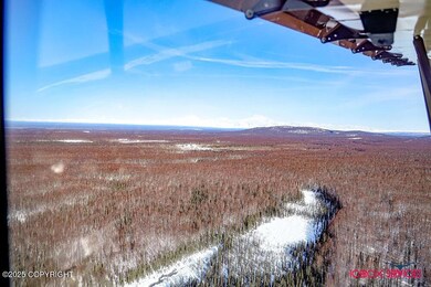 20801 E Baruch Loop, Talkeetna, AK 99676 - photo 5