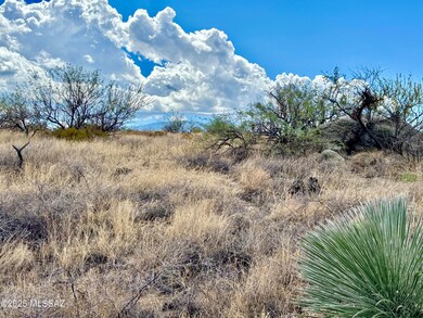 2.5 Acres W Linda Vista Rd, Oracle, AZ 85623 - photo 7