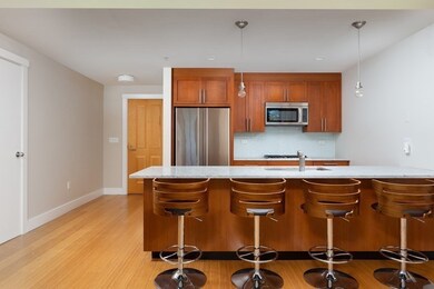 21 Father Francis Gilday St unit 303, Boston, MA 02118 - photo 5