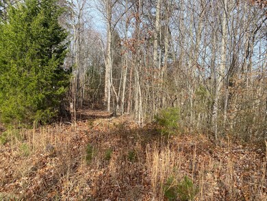 1180 Roberts Bend Rd, Burnside, KY 42519 - photo 6