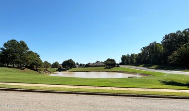 8070 Old Addison Dr, Olive Branch, MS 38654 - photo 3