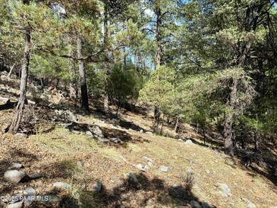 5980a Old Walker Rd, Prescott, AZ 86303 - photo 6