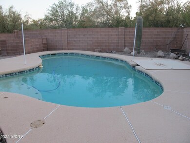 61 Swimming pool, back yard block fence