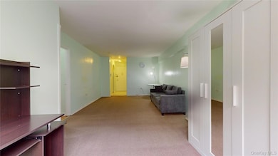 Sherwood Village Cooperative A, Inc. unit 2L, Corona, NY 11368 - photo 7