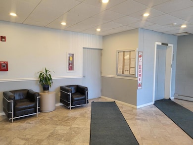 1043 S York Rd unit 605, Bensenville, IL 60106 - photo 4