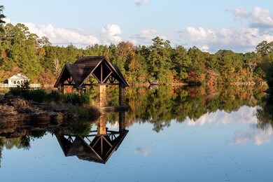 One of the many gorgeous lakes in Teaswood.