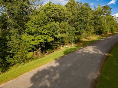 329 Terrapin Pointe Rd, Hodges, SC 29653 - photo 6