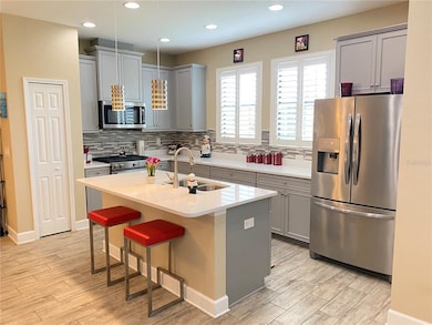 5807 Circa Fishhawk Blvd, Lithia, FL 33547 - photo 3