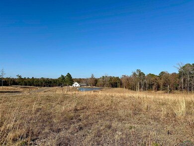 178 Eagle Creek Dr, Diana, TX 75640 - photo 4