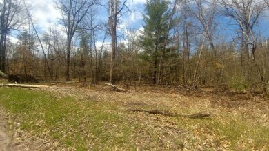 Par. 2 W Merline Aly, Baldwin, MI 49304 - photo 2