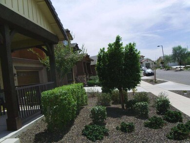 Front Yard