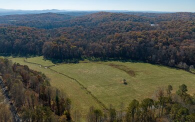 2453 Flat Branch Rd, Ellijay, GA 30540 - photo 7