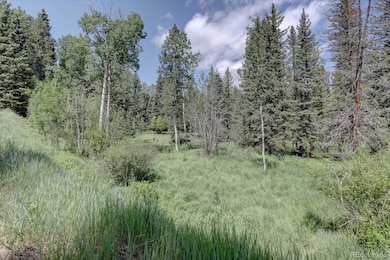 10438 Sunlight Ln, Conifer, CO 80433 - photo 4