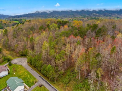 006-EnglishFieldsDrive-Newport-TN-37821-