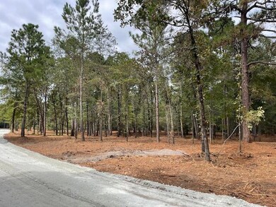 0 Hwy 45 unit 25024847, Cross, SC 29436 - photo 7