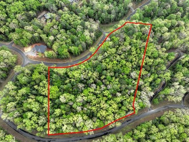 Lot 14 Watersong Trail, Ellijay, GA 30540 - photo 5