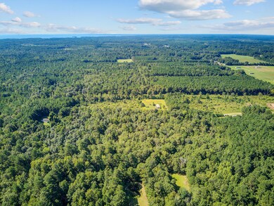 000 Eagle Terrace Trail, Cross, SC 29436 - photo 4