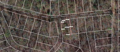 21 Whippoorwill Cir, Other, AR 72482 - photo 2