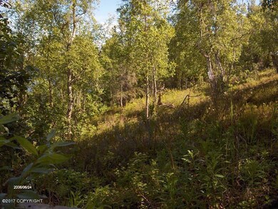 Island Lake Lot2A