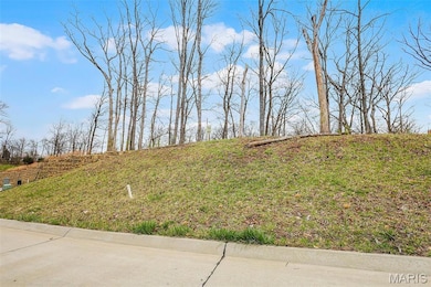 118 Summer Grace Ln, Weldon Spring, MO 63304 - photo 7