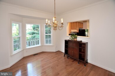 3623 Ransom Place, Alexandria, VA 22306 - photo 6