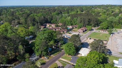 3161 45th St, Meridian, MS 39305 - photo 6