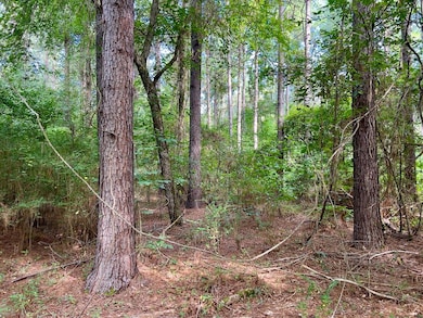 View of wooded area