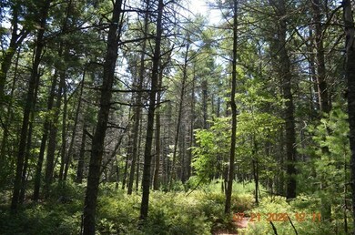 0 S Worcester St - Rear, Norton, MA 02766 - photo 6