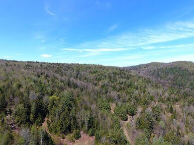 0 Route 2 Route unit 4911667, St. Johnsbury, VT 05819 - photo 5