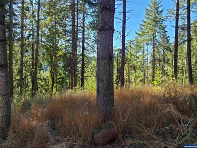 14816 Quall Rd NE, Silverton, OR 97381 - photo 4