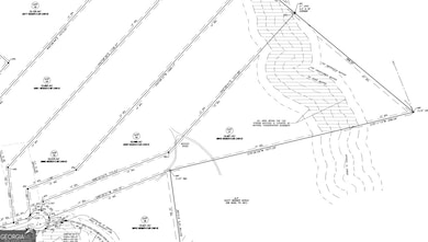 3893 Reservoir Dr unit TRACT 17, Gainesville, GA 30507 - photo 3