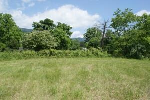 Field