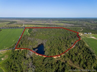 0 Rhonda Coleman Rd, Hazlehurst, GA 31539 - photo 6