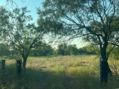 9559 County Road 133, Brownwood, TX 76801 - photo 7