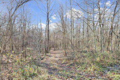 0 Mulberry Rd, Mount Perry, OH 43760 - photo 6