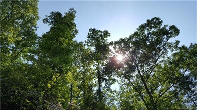Afternoon sun is shaded by the mature trees around