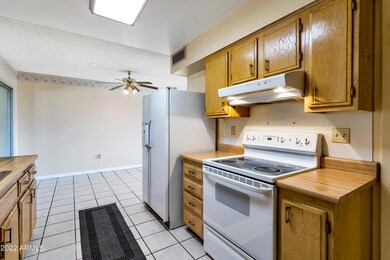 10002 W Caron Dr, Sun City, AZ 85351 - photo 5