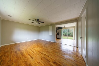 439 Johnson St, Cave City, AR 72521 - photo 3