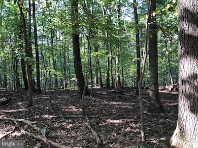 0 Old Washington Rd unit 1009928882, Eldersburg, MD 21784 - photo 7